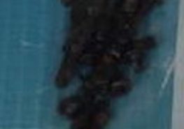 13-7353-SCREWS Dell Screw Kit I13-7353