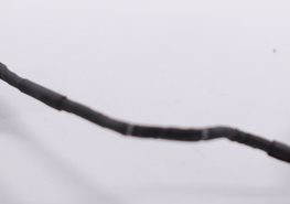 14005-02470500 Asus Cmos Cable Q505UA-BI5T7