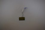 50.4HH05.101 Dell Power Switch Board IM501R-1212PBL