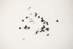 5S10S35746 Lenovo Screws Kit 83JQ000KUS