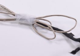 64411203400010 Lenovo Display Cable 81A5001UUS