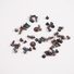 C75-C7130-SCREWS Toshiba Screw Kit C75-C7130