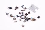CPS-71949 Dell Screws Kit I7620-7631SLV-PUS