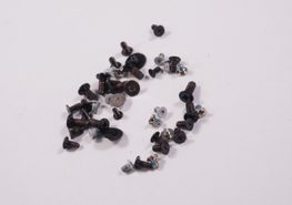 CPS-77055 Dell Screws Kit XPS9520-7294WHT-PUS