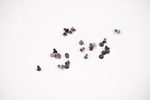 CPS-82395 Dell Screws Kit I7435-A111BLU-PUS