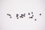 CPS-90649 Dell Screws Kit I7445-5333BLU-PUS