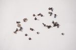 CPS-91288 Asus Screws Kit CM1402CM2A-M8186