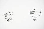 CPS-98155 Lenovo Screws Kit 83F50053US Legion Pro 7 16IAX10H