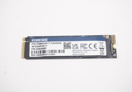 FSB0C001T-N2A9200 FORESEE 1TB XP2300 PCIe SSD M.2 2280