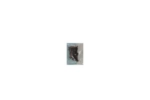 S210-SCREW Lenovo Ideapad Complete Screw Set S210