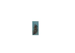 SCREW-CL15T-B1204 Toshiba Screw Set CL15T-B1204