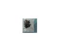 X200MA-SCREW Asus Screw Set X200MA