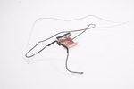 50.HBRN7.005 Acer Wireless Antennas R721T-62ZQ