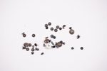 5S10S35657 Lenovo Screw L 83FF KITS 83FF0000US