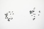 5S10S35776 Lenovo Screws Kit 83F50053US Legion Pro 7 16IAX10H