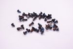 688934545943 Hp Screws Kit G56-129WM