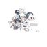 688934550947 Dell Screws Kit I7391-5537SLV-PUS