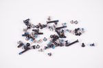 CPS-77969 Acer Screws Kit G9-793-79V5