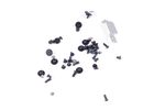 CPS-79531 Lenovo Screws Kit 82K80083US Legion S7-15ACH6