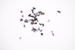 CPS-86684 Dell Screws Kit XPS9640-7097SLV-PUS