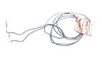 L63607-001 Hp Wireless Antennas 15-DY1051WM