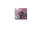 00HN439 Lenovo Screw Kit THINKPAD E550 thinkpad e560 (20ev, 002fus)