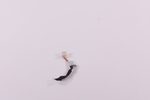 DC02002P200 Lenovo Webcam Cable F0CU0022US