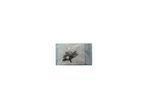 14-V062US-SCREW Hp Screw Set 14-V062US