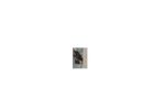 762522-001 Hp Screws Set 15-P009AU 15-P010US 15-p030nr 15-p393nr 15-p390nr