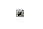 P55W-C5208-SCREW Toshiba Screw Kit P55W-C5208 p55w-c5200 L55W-C5252